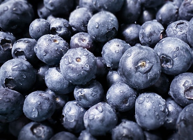 Blueberries for Breakfast