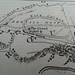 1837 plan of the racecourse when it crossed Moor Lane, Salford, thanks to Monty Dobkin