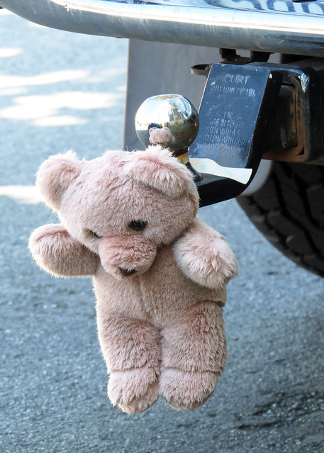 Teddy Bear hanging from trailer hitch of pickup truck 20240402-145320