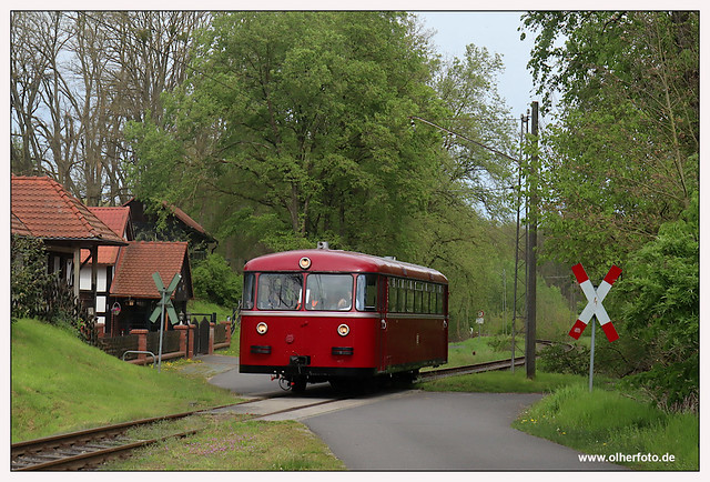Buckower Kleinbahn - 2024-01