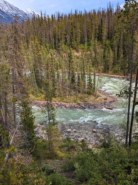 Athabasca River at Athabasca Falls