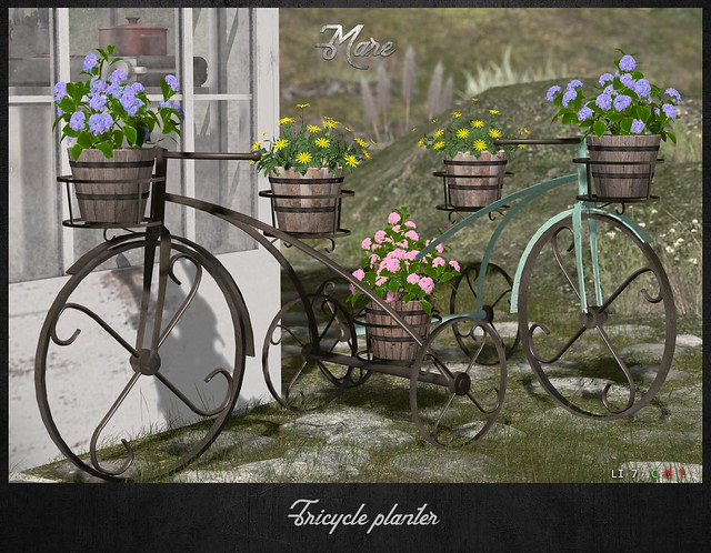 Mare - tricycle planter