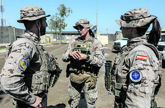 Misión de la OTAN en Irak (NMI)