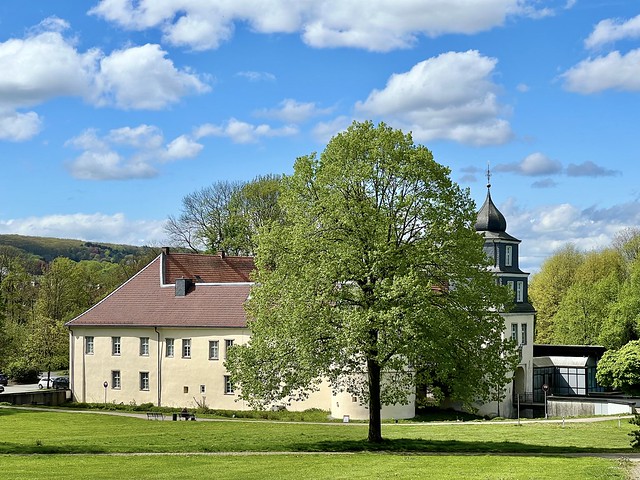 Baum vor Schloss Martfeld