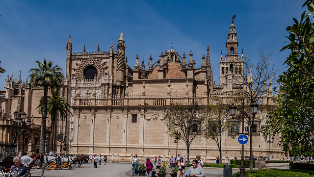 La Giralda y Catedral-Sevilla-04