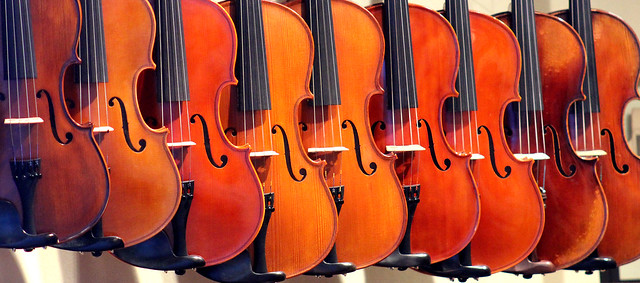 violins