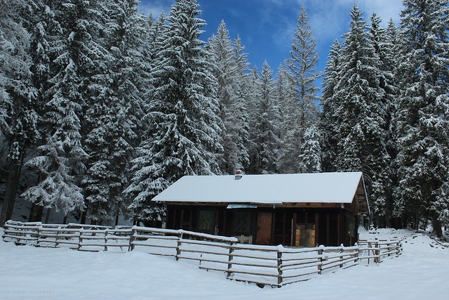Winter in Iezer-Păpușa Mountains