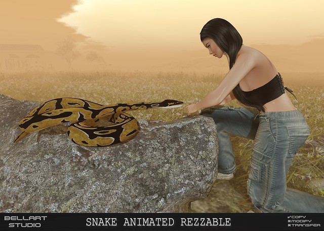 to love a snake with the hope that it will not bite