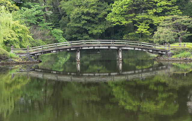 Wooden Bridge in Reflection