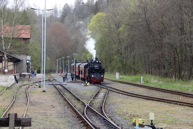 2022-05-05; 0112. HSB 99 6001 met trein 8966. Bhf. Alexisbad. Kreisstraße, Alexisbad, Harzgerode.
