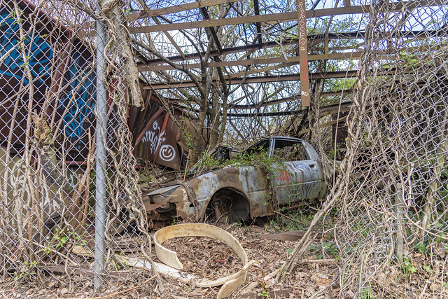 Abandoned Car, Richmond Terrace