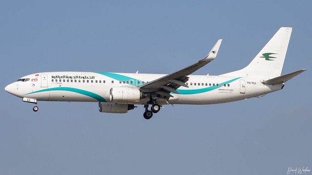 FRA - Tailwind Boeing 737-8FZ(WL) TC-TLI