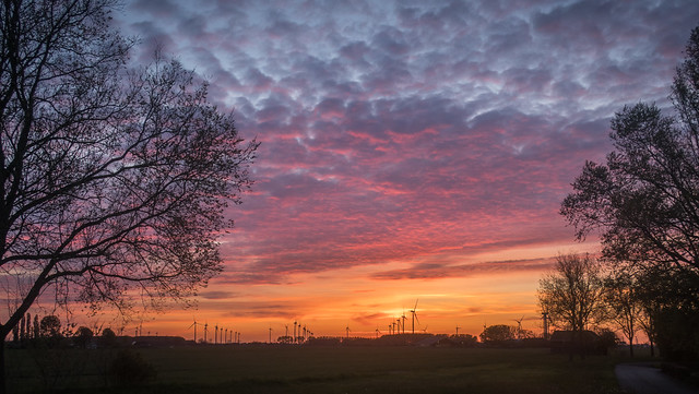 Sunset over a wind farm