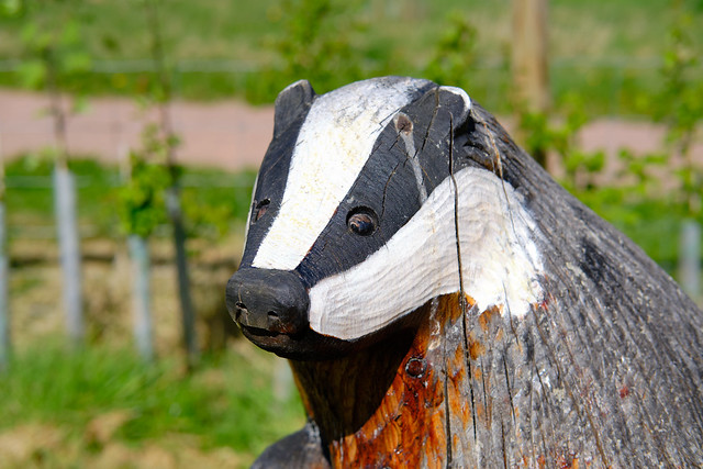 Chain Saw Carved Badger Brockhampton National Trust Herefordshire UK