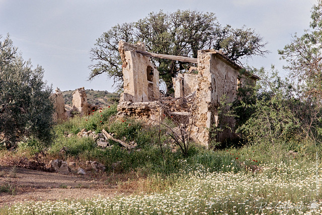 An abandoned cortijo. Note the abundant daisies in the foreground.