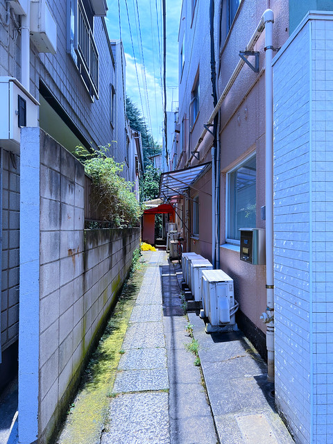 Tokyo Alleyway in Daylight