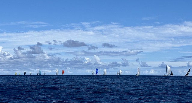 Colorful sails on the horizon