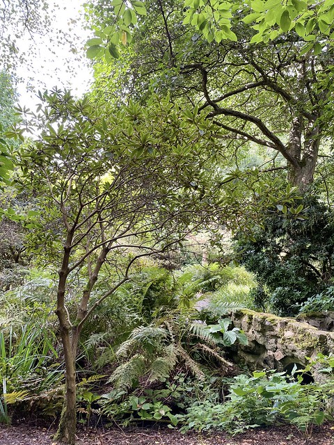 Durham Botanic Gardens