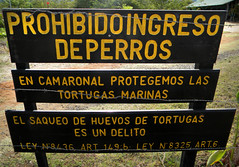 Sign prohibiting dogs on the beach in order to protect the 'tortugas marinas' in Costa Rica