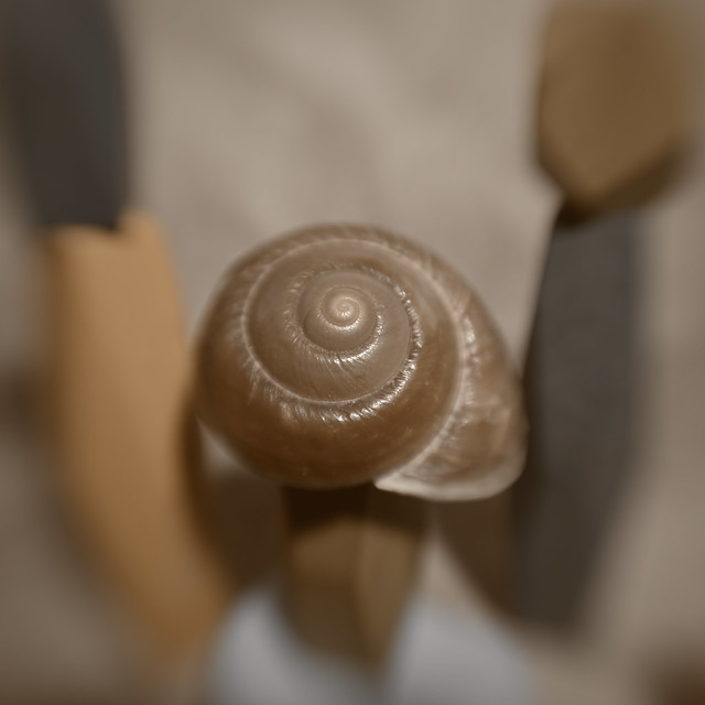 Giant snail shell