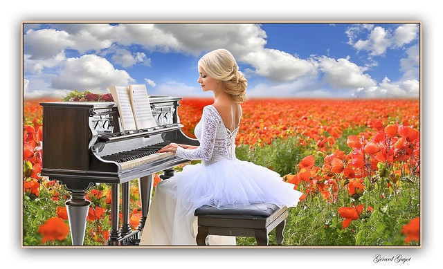 Poppies in music