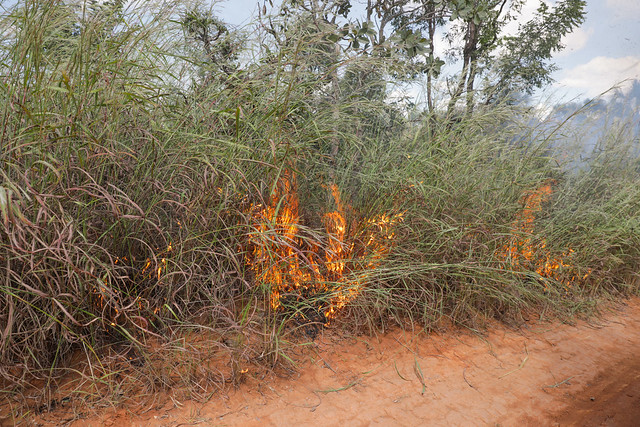 29/04/2024 - Queima controlada ajuda a evitar incêndios florestais em Águas Emendadas