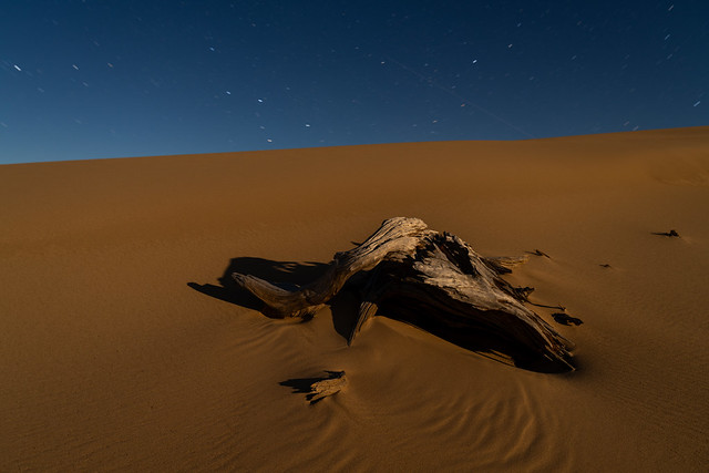 Silver Lake Dunes in the Moonlight