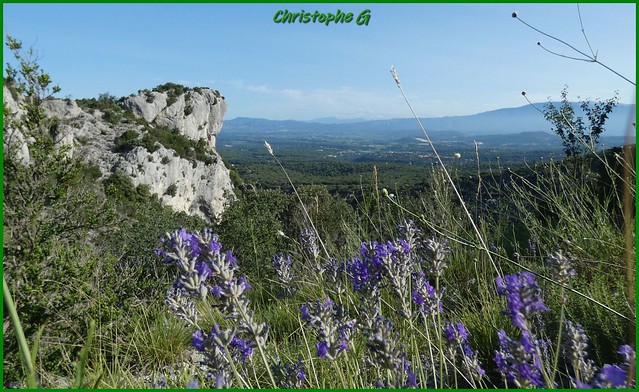 Rando rocher des trois luisants (Le beaucet - Vaucluse - 13 juillet 2023) (7)