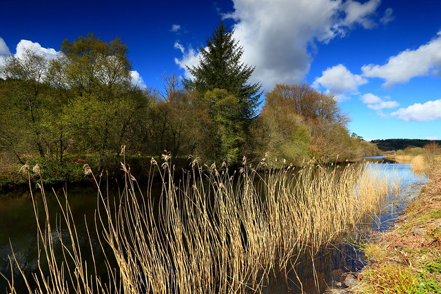 Spring on the Crinan Canal