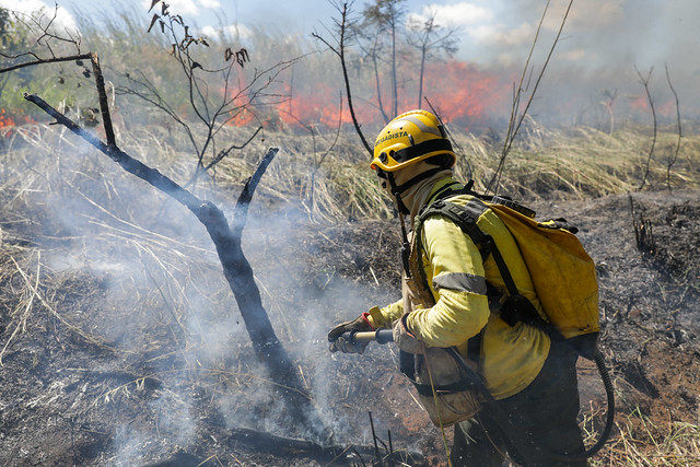 29/04/2024 - Queima controlada ajuda a evitar incêndios florestais em Águas Emendadas