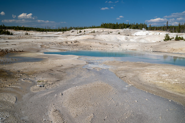 Geysers and hot springs along the Porcelain Basin Trail in Norris Geyser Basin at Yellowstone National Park