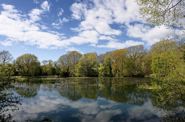 Fishing Pond, Lytham Hall 24.04.24