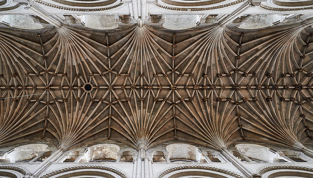 Norwich Cathedral, Ceiling/Catedral de Norwich, Techo