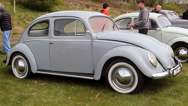 1954 Volkswagen Beetle 1200cc 195UYS