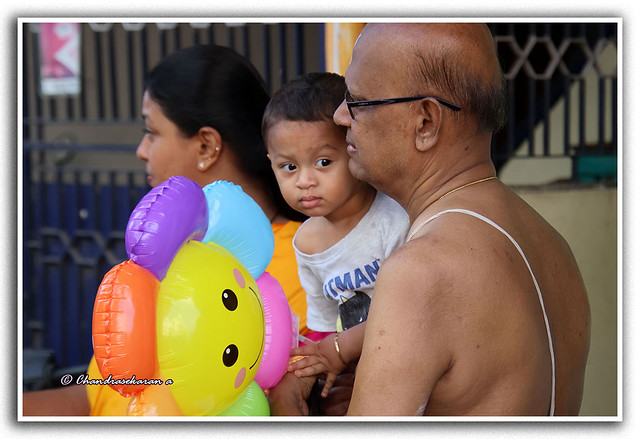 12849 - Sri Parthasarathy Temple Car festival 2024