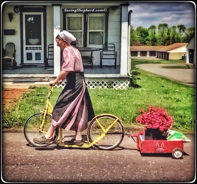 Today’s Truth ...  “If you have two loaves of bread, sell one and buy flowers. For bread nourishes the body but flowers will nourish your soul.”  ~ Amish Proverb ❤️