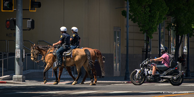 Street Photography - Mounted Police