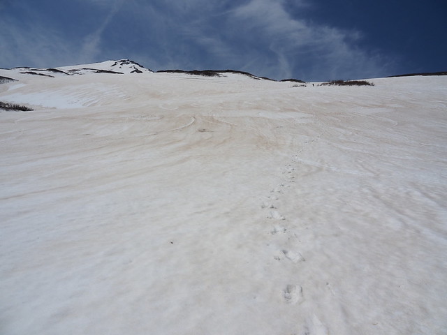 Wide snow slope