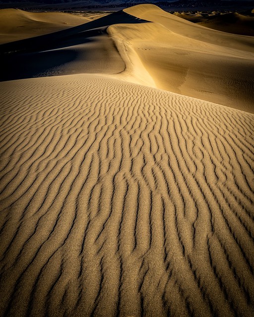 Mesquite Dunes, Golden Hour. Death Valley National Park.