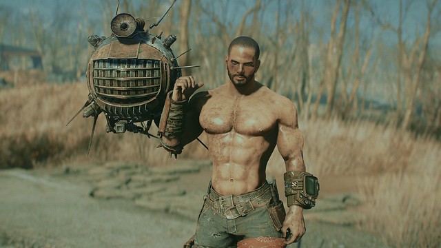 Fallout 4 Screenshot 2024.04.29 - 22.12.41.85