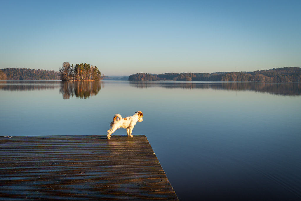 Wooden dock