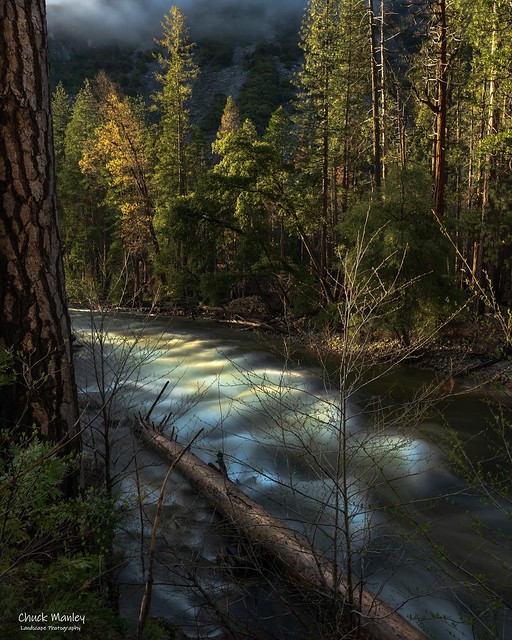 One Could Sit Here All Day!! Merced River, Yosemite National Park