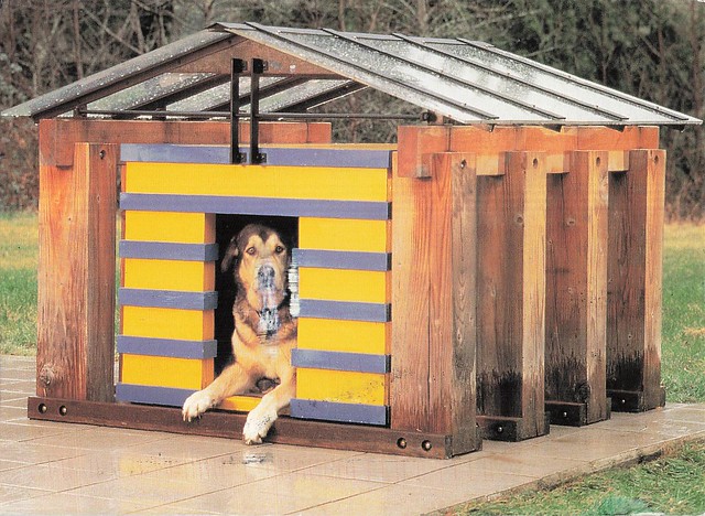 Dog house - Chateau Neuf de Pup