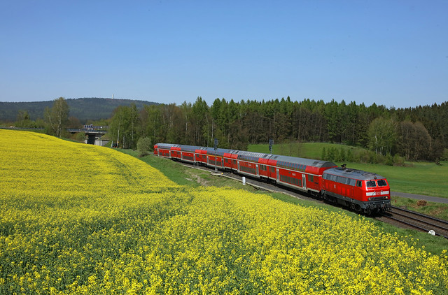 DB 218 403 pulls RE 4865 (Hof Hbf - München Hbf) along a rapeseed field at Grosswendern (DE).