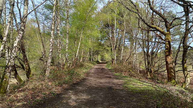 Castleman Trailway, Upton Heath, Poole