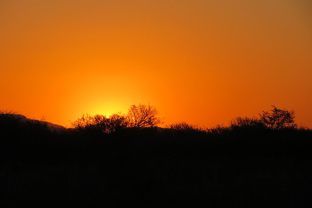 Sunset at Lelapa Lodge, South Africa