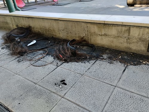 Umezaintzako apurketak