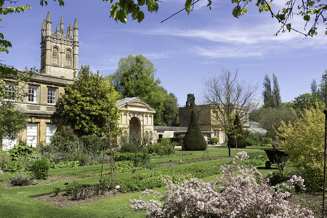 Late april in the Botanic Garden, Oxford