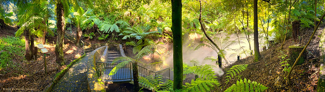 Australian National Botanic Gardens - Mist in the Australian Rainforest