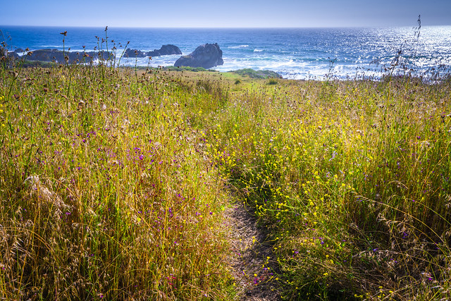 Big Sur Wildflowers California Coast Pacific Coast Highway ! Elliot McGucken Scenic Spring Ocean View Fine Art Landscape Nature Photography Wild Flowers Monterey County Big Sur Seascape Art !